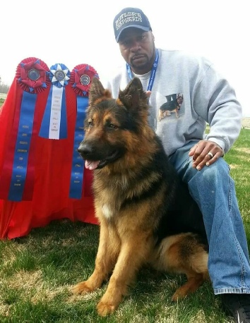 Darryl Butler dog breeder Butler's Shepherds pic 2